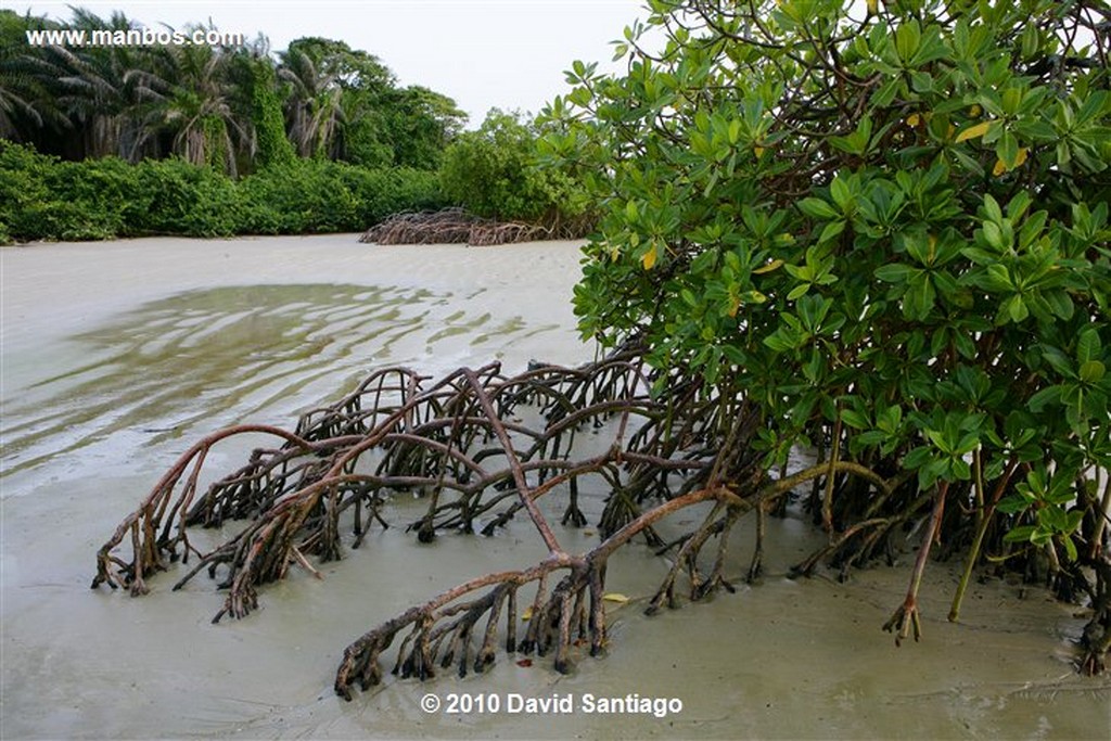 Islas Bijagos 
Poilao Parque Nacional Joao Vieira Poilao Bijagos Guinea Bissau 
Islas Bijagos 