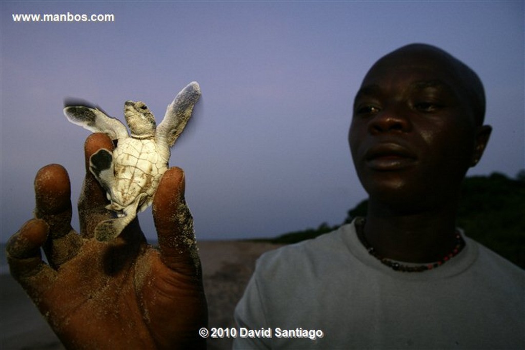 Islas Bijagos 
Poilao Parque Nacional Joao Vieira Poilao Bijagos Guinea Bissau 
Islas Bijagos 