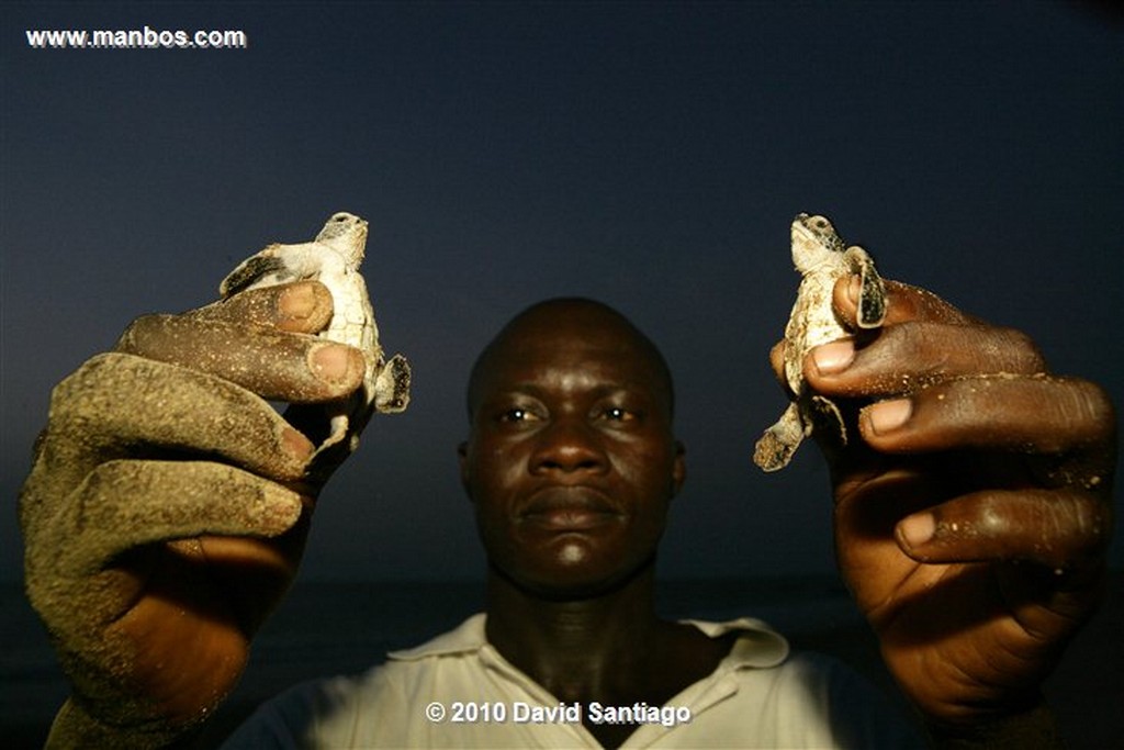 Islas Bijagos 
Poilao Parque Nacional Joao Vieira Poilao Bijagos Guinea Bissau 
Islas Bijagos 