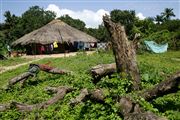 Parque Nacional Islas de Orango , Islas Bijagos , Guinea Bissau 