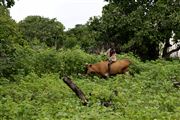 Parque Nacional Islas de Orango , Islas Bijagos , Guinea Bissau 