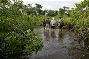 Parque Nacional Islas de Orango , Islas Bijagos , Guinea Bissau 