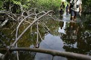 Parque Nacional Islas de Orango , Islas Bijagos , Guinea Bissau 