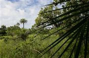 Parque Nacional Islas de Orango , Islas Bijagos , Guinea Bissau 