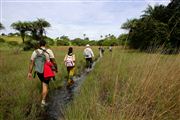 Parque Nacional Islas de Orango , Islas Bijagos , Guinea Bissau 