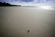 Parque Nacional Islas de Orango , Islas Bijagos , Guinea Bissau 