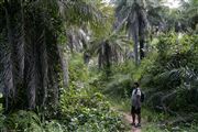 Parque Nacional Islas de Orango , Islas Bijagos , Guinea Bissau 