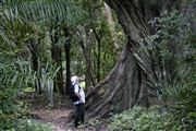 Parque Nacional Islas de Orango , Islas Bijagos , Guinea Bissau 