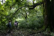 Parque Nacional Islas de Orango , Islas Bijagos , Guinea Bissau 