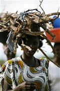 Parque Nacional Islas de Orango , Islas Bijagos , Guinea Bissau 