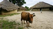 Parque Nacional Islas de Orango , Islas Bijagos , Guinea Bissau 