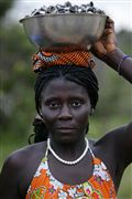 Parque Nacional Islas de Orango , Islas Bijagos , Guinea Bissau 