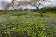 Parque Nacional Islas de Orango , Islas Bijagos , Guinea Bissau 