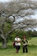 Parque Nacional Islas de Orango , Islas Bijagos , Guinea Bissau 