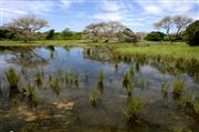 Parque Nacional Islas de Orango , Islas Bijagos , Guinea Bissau 