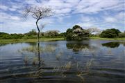 Parque Nacional Islas de Orango , Islas Bijagos , Guinea Bissau 