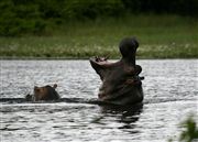 Parque Nacional Islas de Orango , Islas Bijagos , Guinea Bissau 