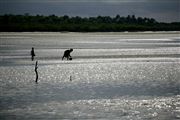 Parque Nacional Islas de Orango , Islas Bijagos , Guinea Bissau 