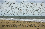 Parque Nacional Islas de Orango , Islas Bijagos , Guinea Bissau 