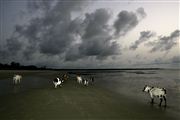 Parque Nacional Islas de Orango , Islas Bijagos , Guinea Bissau 