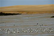 Parque Nacional Islas de Orango , Islas Bijagos , Guinea Bissau 