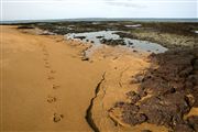 Parque Nacional Islas de Orango , Islas Bijagos , Guinea Bissau 