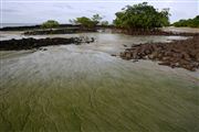 Parque Nacional Islas de Orango , Islas Bijagos , Guinea Bissau 