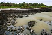 Parque Nacional Islas de Orango , Islas Bijagos , Guinea Bissau 