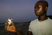 Parque Nacional Islas de Orango , Islas Bijagos , Guinea Bissau 