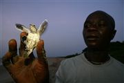 Parque Nacional Islas de Orango , Islas Bijagos , Guinea Bissau 