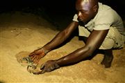 Parque Nacional Islas de Orango , Islas Bijagos , Guinea Bissau 