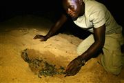 Parque Nacional Islas de Orango , Islas Bijagos , Guinea Bissau 