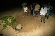 Parque Nacional Islas de Orango , Islas Bijagos , Guinea Bissau 