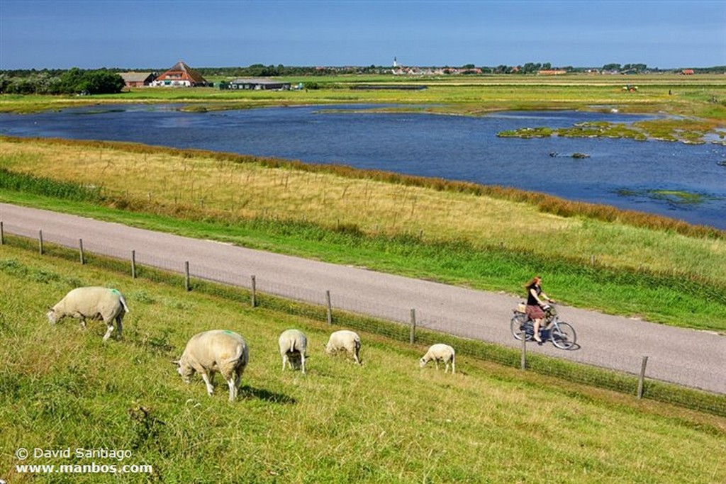 Alkmaar
Holanda
Holanda