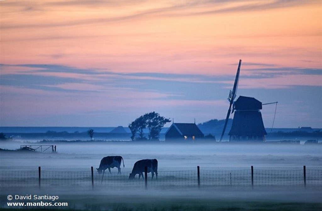 Marken
Holanda
Holanda