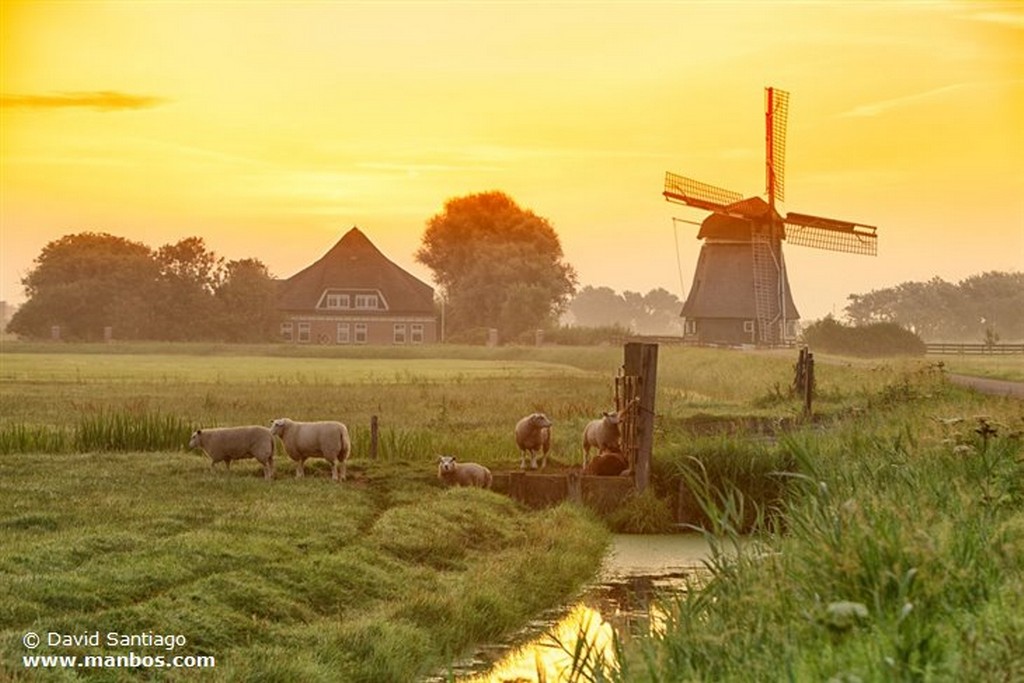 Marken
Holanda
Holanda