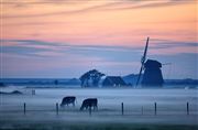 Den Helder, Den Helder, Holanda