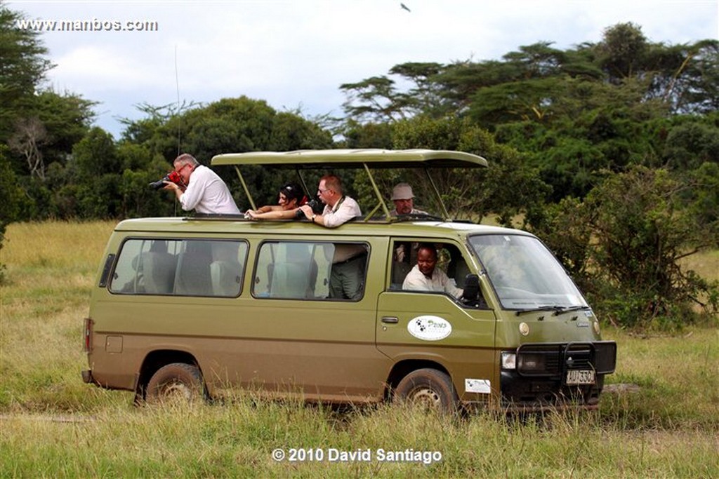 Ol Pajeta
Ol Pajeta Wildlife Conservancy Kenia 
Ol Pajeta