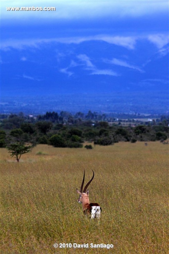 Lago Nakuru
Lago Nakuru Kenia 
Lago Nakuru