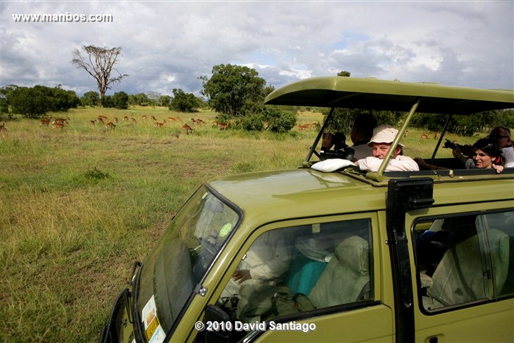 Ol Pajeta
Ol Pajeta Wildlife Conservancy - Kenia
Ol Pajeta