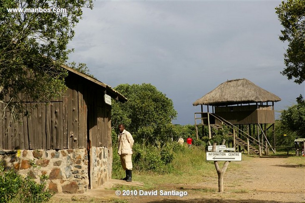 Ol Pajeta
Ol Pajeta Wildlife Conservancy - Kenia
Ol Pajeta