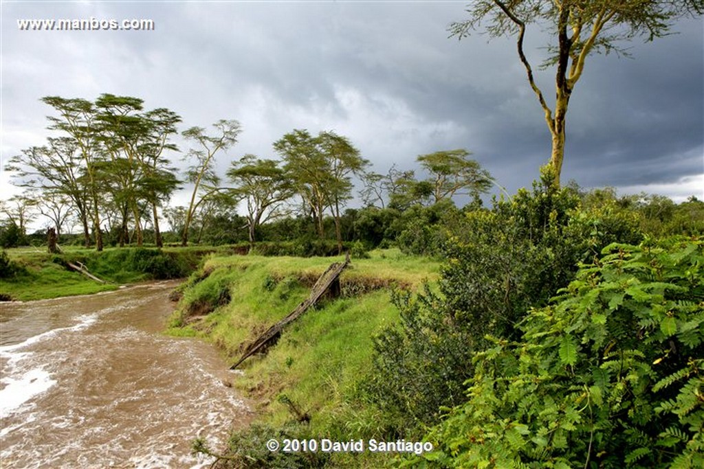 Ol Pajeta
Ol Pajeta Wildlife Conservancy - Kenia
Ol Pajeta