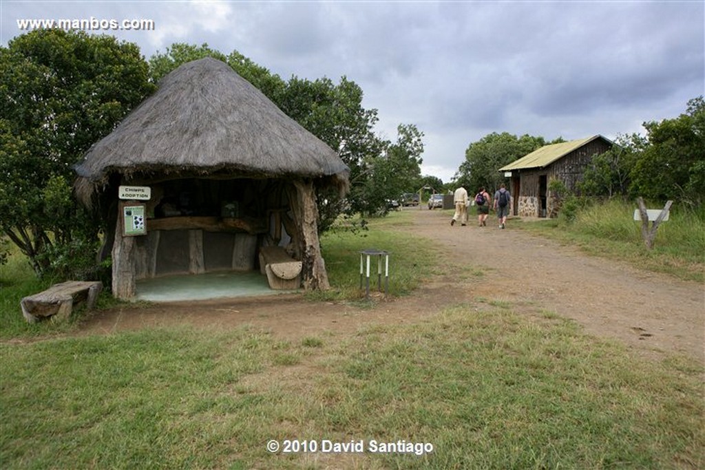 Ol Pajeta
Ol Pajeta Wildlife Conservancy - Kenia
Ol Pajeta