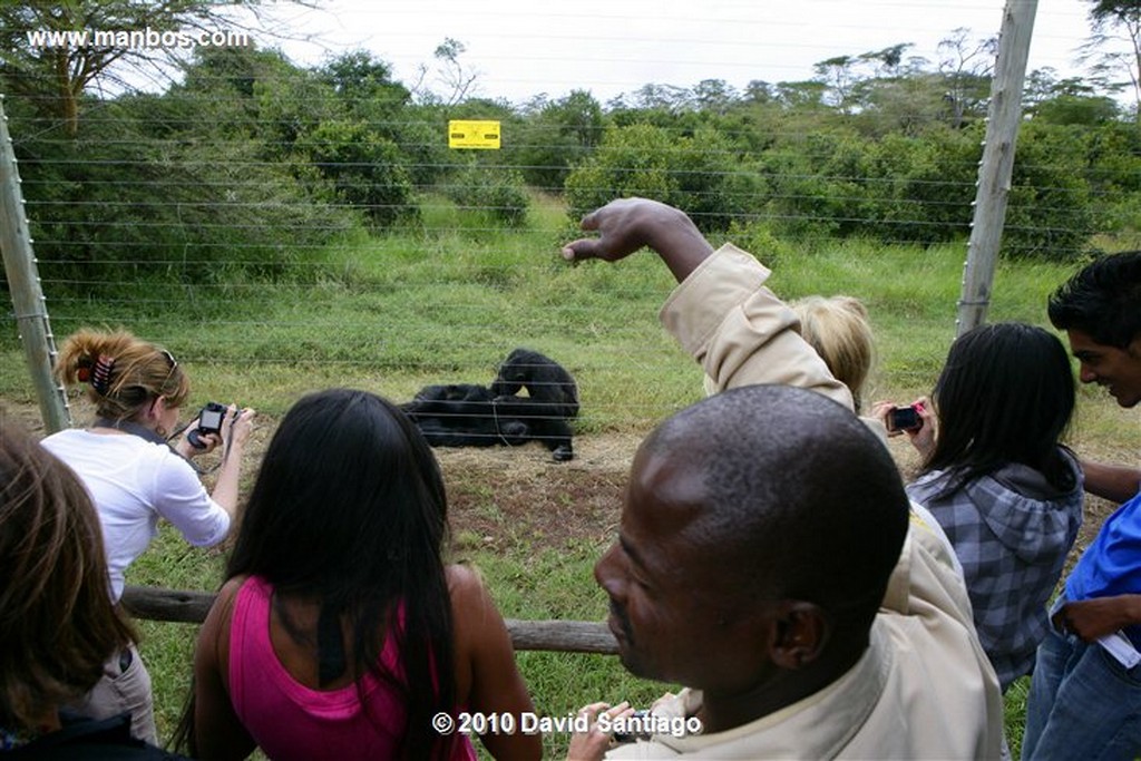 Ol Pajeta
Ol Pajeta Wildlife Conservancy - Kenia
Ol Pajeta