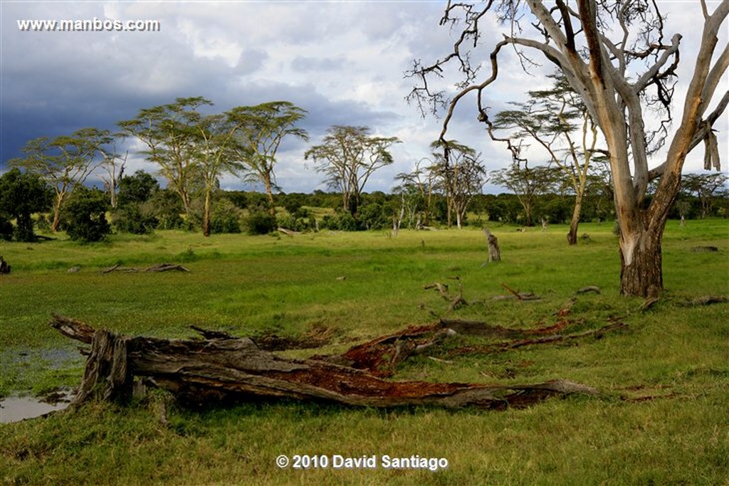 Ol Pajeta
Ol Pajeta Wildlife Conservancy - Kenia
Ol Pajeta