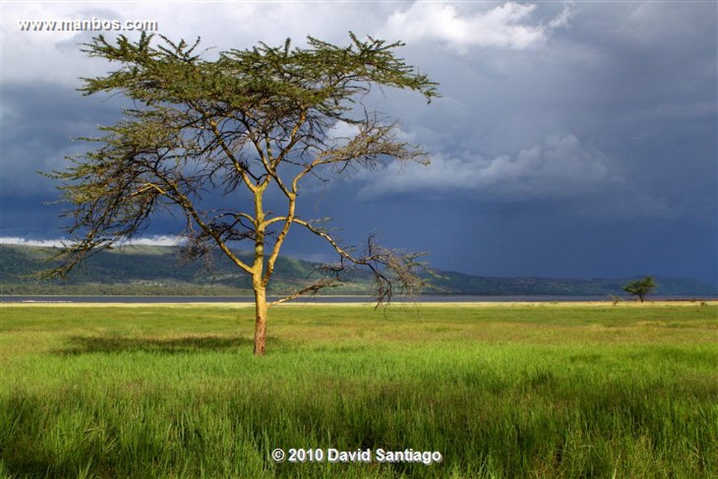 Cataratas Thompson
Kikuyu Thompsons Falls Kenia
Cataratas Thompson