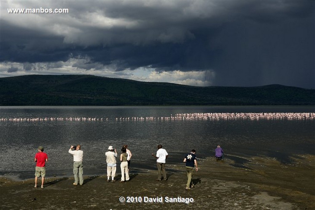 Lago Nakuru
Lago Nakuru Kenia 
Lago Nakuru