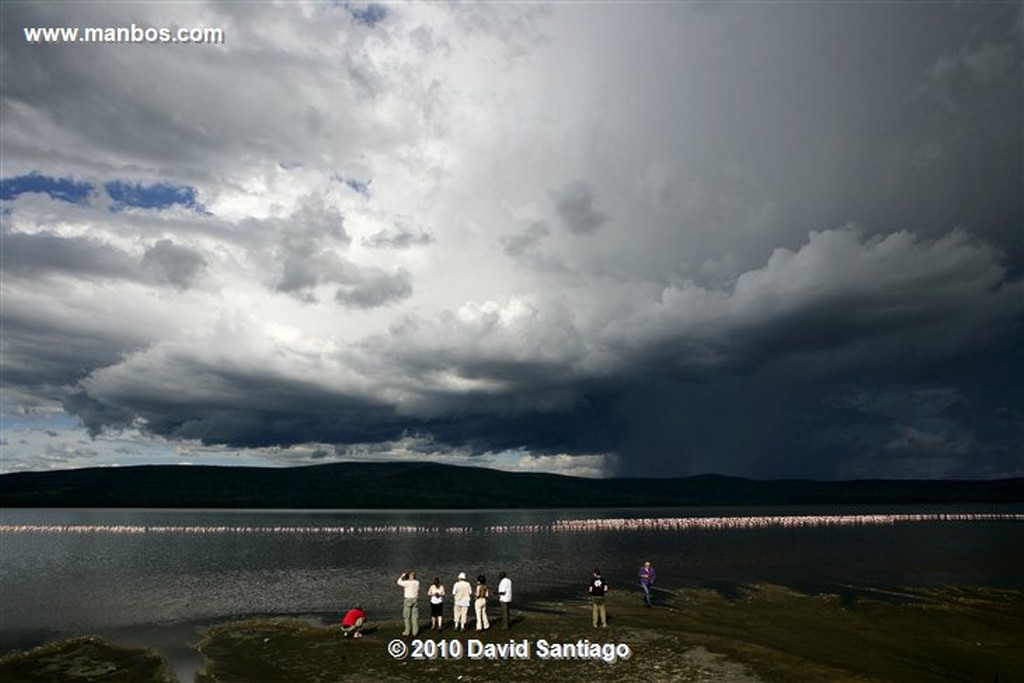 Lago Nakuru
Lago Nakuru Kenia 
Lago Nakuru