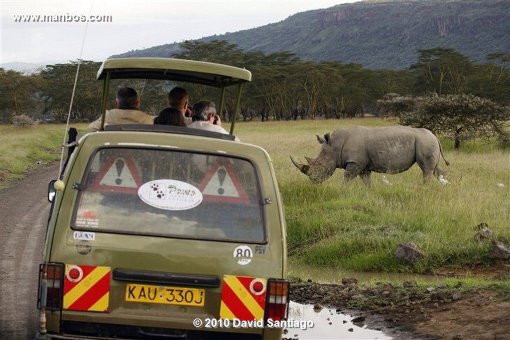 Lago Nakuru
Lago Nakuru Kenia 
Lago Nakuru