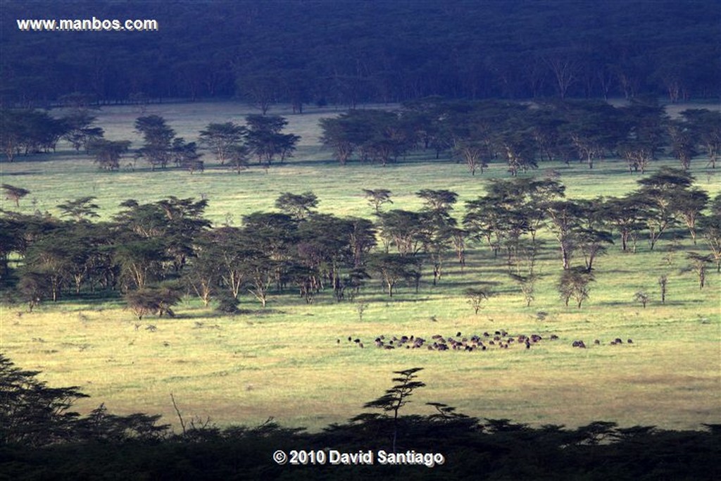 Lago Nakuru
Lago Nakuru Kenia 
Lago Nakuru